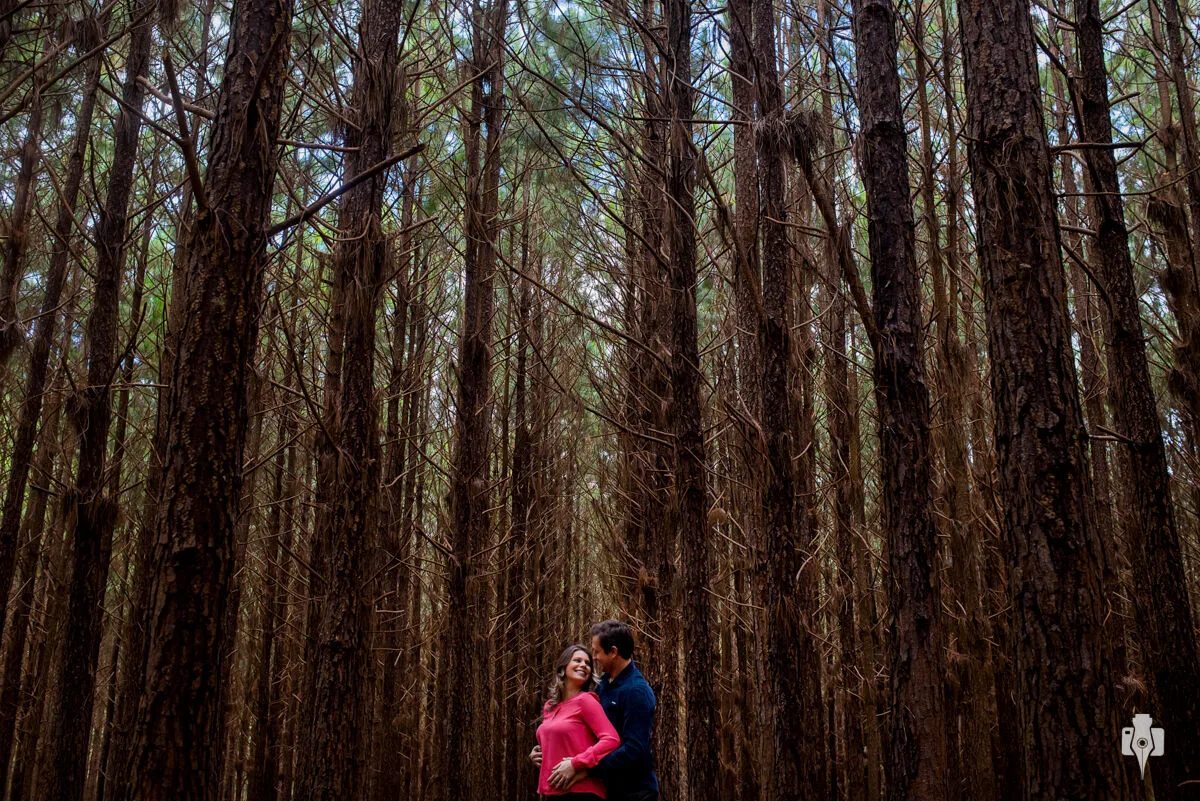 Ensaio de Gestante | à espera de Mateus | Fotografo casamento, Gramado, Serra Gaúcha, Beth Esquinatti e Nei Bernardes